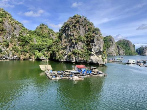 Ha long baia crociera halongbay 12