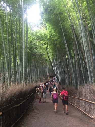arashiyama9111 