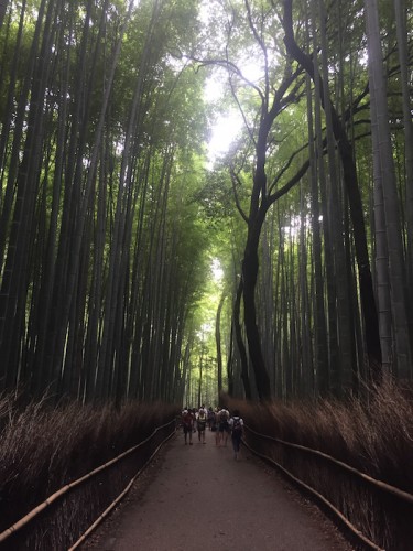 arashiyama9119 