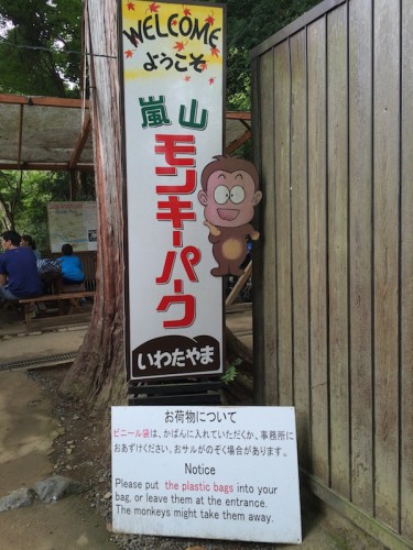 arashiyama9158