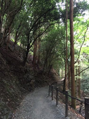 arashiyama9162