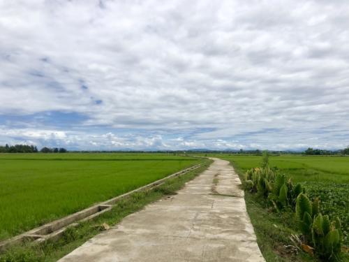 hoi an bicycle tour biciclette due giorni 5