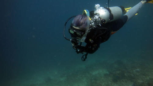 padi open water