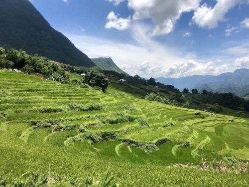 sapa sa pa vietnam risaie trekking montagne